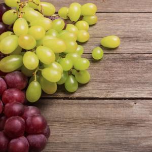 Immagine simbolica uva vino