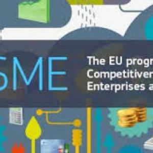 Gli strumenti finanziari del Programma COSME: opportunità di finanziamento per le PMI europee 
