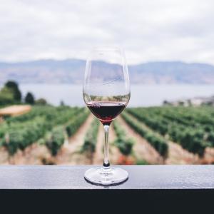 Contributi produzione di vino