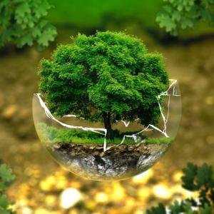 ambiente e crescita sostenibile