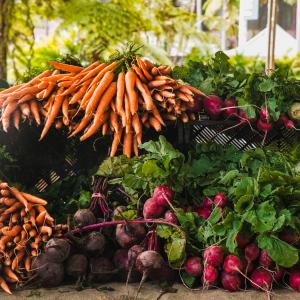 Agroalimentare