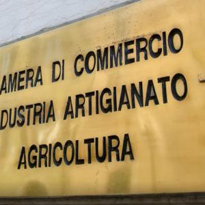 riforma delle Camera di Commercio