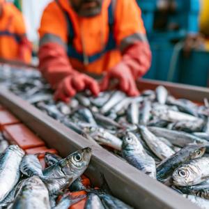 pesca e acquacoltura