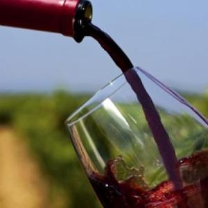Vino