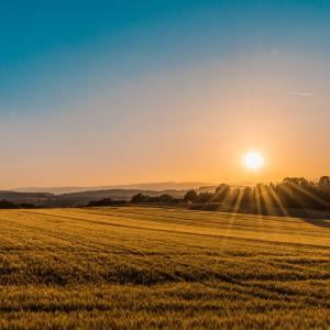Campagne