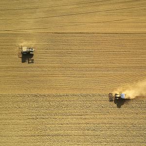 Agricoltura