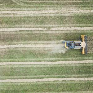 Agricoltura