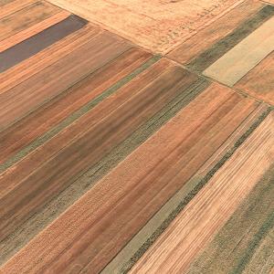 Agricoltura