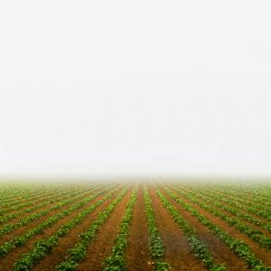 Agricoltura