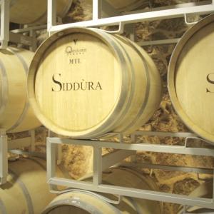 Cantina Siddùra