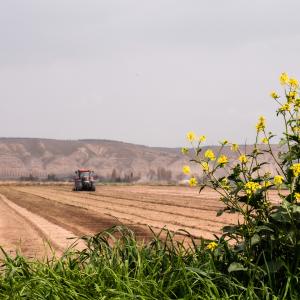 Agricoltura