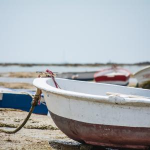 Pesca