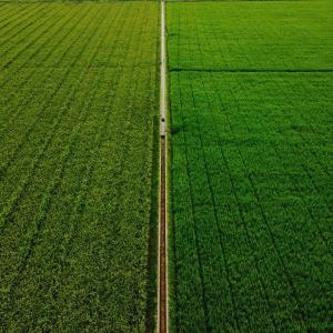 Agricoltura