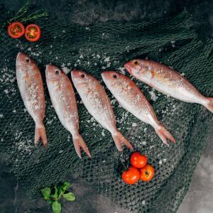 Pesca