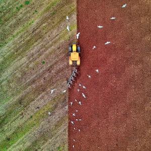 Agricoltura