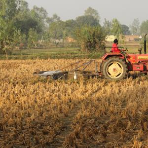 Agricoltura