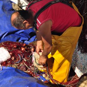 un pescatore di Alghero