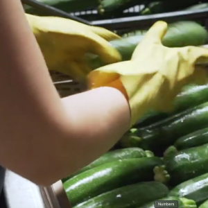 lavoro in un'azienda di trasformazione agricola - immagine simbolica