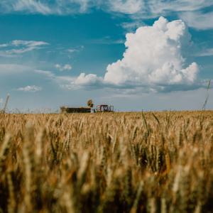 Agricoltura - Foto di Drazen Nesic da Pixnio