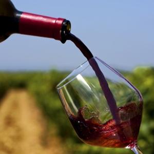 vino e vigna, immagine simbolica