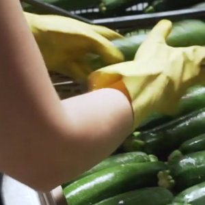 imprese agricole