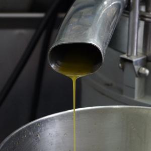 Olio d'oliva 