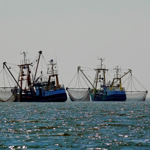 Navi da pesca