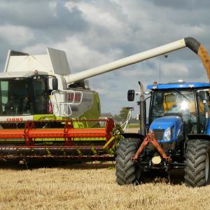 Agricoltura