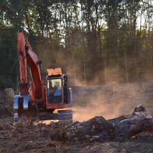 Deforestazione