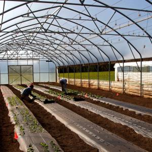 Braccianti agricoli