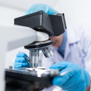 Ricercatore scientifico