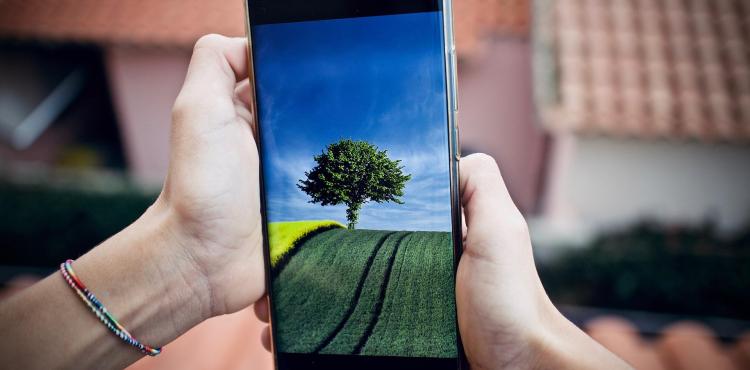 Transizione digitale green
