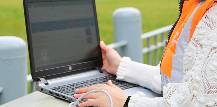 Internazionalizzazione delle imprese nell'ambito dell'economia verde