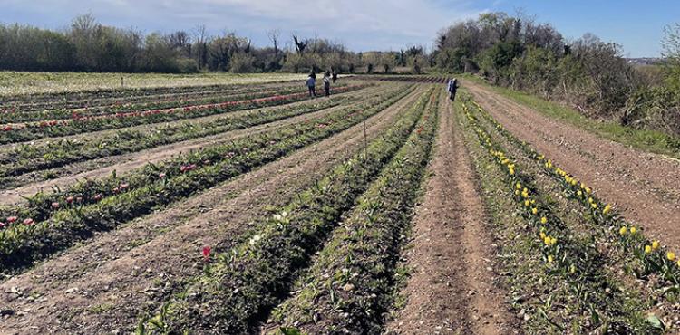 l’agroalimentare traina l’economia italiana