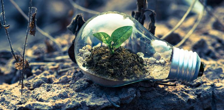 Profili professionali con competenze “green”