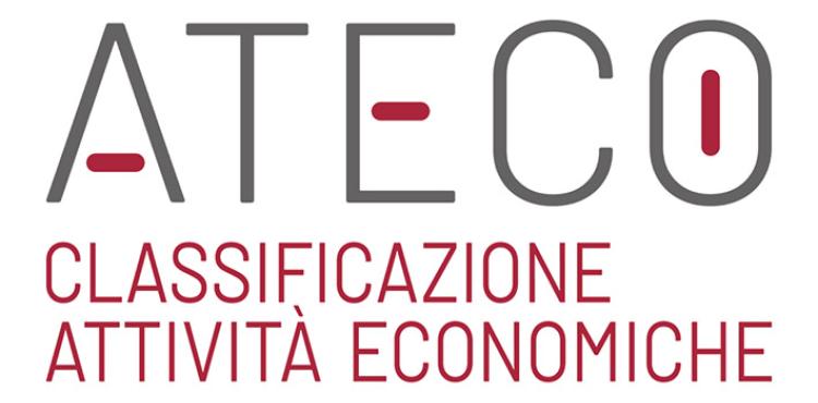 manuale di classificazione Ateco per le imprese