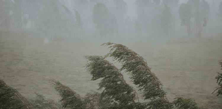 disastri naturali