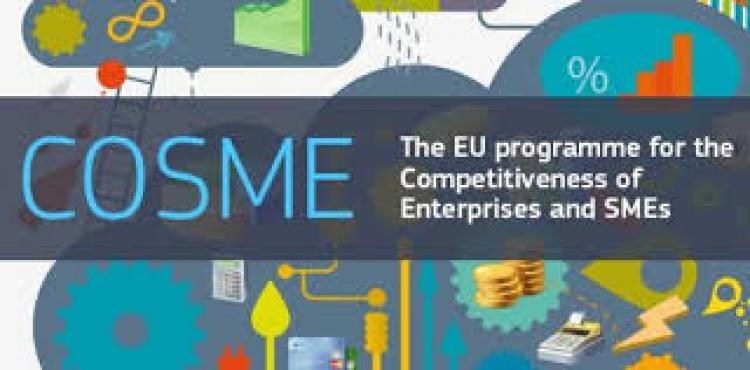 The COSME financial instruments: funding opportunities for European SMEs