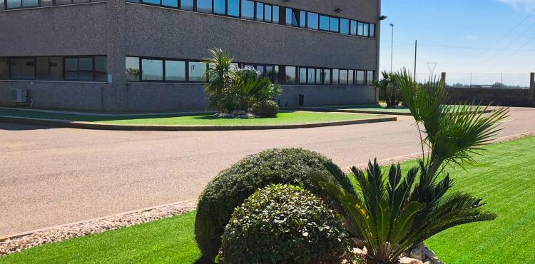 Un’azienda “speciale” come i suoi clienti, la storia di Dialog Ausili Medicali Un’azienda “speciale” come i suoi clienti, la storia di Dialog Ausili Medicali