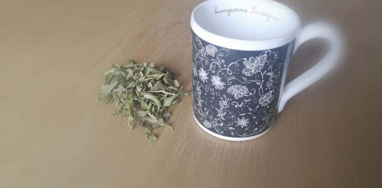 tè in sardegna tè in sardegna