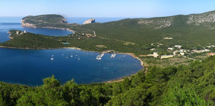 una veduta boschiva fronte mare una veduta boschiva fronte mare