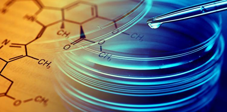 ricerca e innovazione