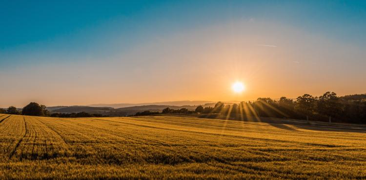 <span>Photo by <a href="https://unsplash.com/@federicorespini?utm_source=unsplash&utm_medium=referral&utm_content=creditCopyText">Federico Respini</a> on <a href="https://unsplash.com/s/photos/countryside?utm_source=unsplash&utm_medium=referral&utm_content=creditCopyText">Unsplash</a></span> Campagne