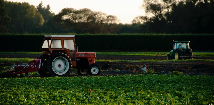 Agricoltura
