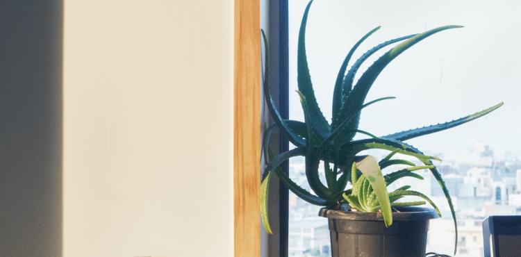 <span>Photo by <a href="https://unsplash.com/@vaibhawkumar?utm_source=unsplash&utm_medium=referral&utm_content=creditCopyText">Vaibhaw Kumar</a> on <a href="https://unsplash.com/s/photos/piece-of-furniture?utm_source=unsplash&utm_medium=referral&utm_content=creditCopyText">Unsplash</a></span> Bonus mobili
