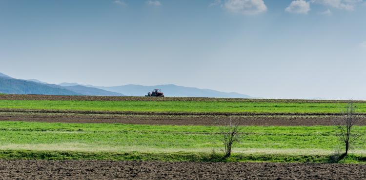 Agricoltura