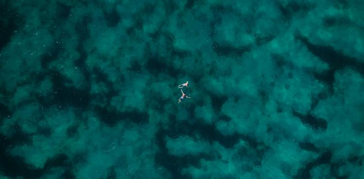 <span>Photo by <a href="https://unsplash.com/@thomasyohei?utm_source=unsplash&utm_medium=referral&utm_content=creditCopyText">Thomas Yohei</a> on <a href="https://unsplash.com/s/photos/deep-sea?utm_source=unsplash&utm_medium=referral&utm_content=creditCopyText">Unsplash</a></span> Pesca