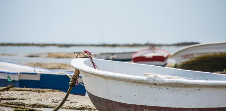 Photo by <a href="https://unsplash.com/@joseantoniojimenez?utm_source=unsplash&utm_medium=referral&utm_content=creditCopyText">Jose Antonio Jiménez Macías</a> on <a href="https://unsplash.com/s/photos/fish-work?utm_source=unsplash&utm_medium=referral&utm_content=creditCopyText">Unsplash</a> Pesca
