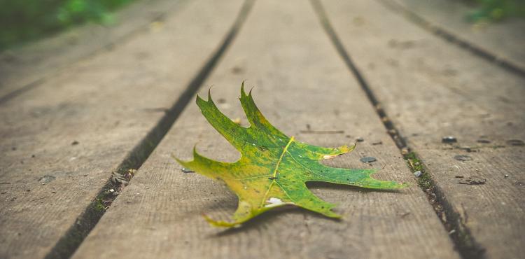 Photo by <a href="https://unsplash.com/@michael_g_krahn?utm_source=unsplash&utm_medium=referral&utm_content=creditCopyText">Michael Krahn</a> on <a href="https://unsplash.com/s/photos/transition?utm_source=unsplash&utm_medium=referral&utm_content=creditCopyText">Unsplash</a> Transizione energetica
