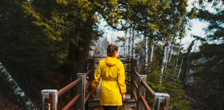 Photo by <a href="https://unsplash.com/@joshhild?utm_source=unsplash&utm_medium=referral&utm_content=creditCopyText">Josh Hild</a> on <a href="https://unsplash.com/s/photos/tourism?utm_source=unsplash&utm_medium=referral&utm_content=creditCopyText">Unsplash</a> Turismo